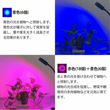 植物育成ライト USB-Type LED 24個 LED 12W ３色点灯 ブルー レッド ピンク 植物 育つ ライト 植物育成 観葉植物 多肉植物 水耕栽培_画像5