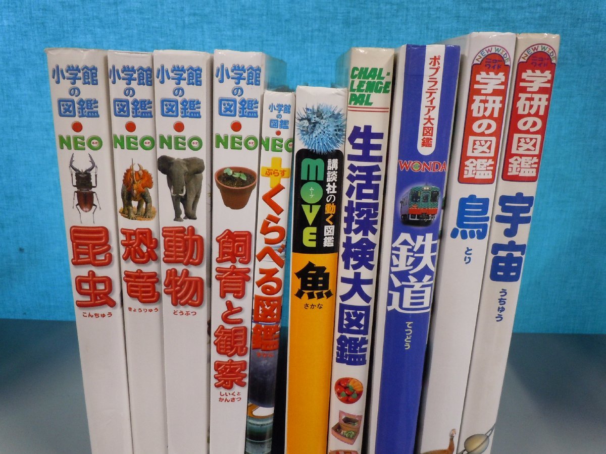 Yahoo!オークション -「小学館 図鑑 NEO 昆虫」の落札相場・落札価格