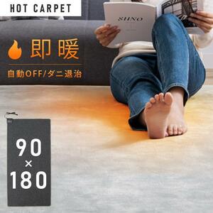 ホットカーペット 1畳 本体 TEKNOS 90×180cm おしゃれ 節電 ダニ退治 折り畳み 温度調節 電気カーペット 電気マット 1畳用 テクノ KM878