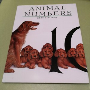 ◎英語絵本　Animal Numbers 英語版