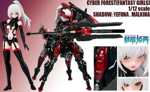 NUKE MATRIX 1/12 FANTASY GIRLS No.05 SHADOW:YEFUNA.MALKINA(初回限定版) 色分け済プラモデル 送料無料