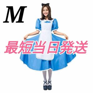 仮装　学園祭　文化祭　コスプレ　アリス　ワンピース　メイド服　バレンタイン　M