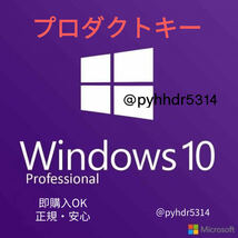 24時即対応・最新版Windows 10・11 Pro 32/64bit正規プロダクトキー・認証保証 無期限・Home・Homeからアップグレードも可能_画像2