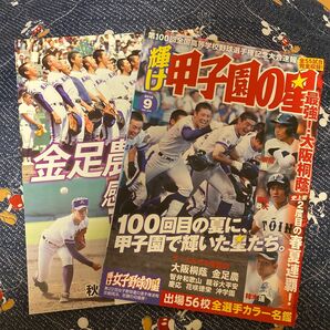 輝け甲子園の星 最強！大阪桐蔭 史上初2度目の春夏連覇！！金足農 感動の軌跡 報道写真集