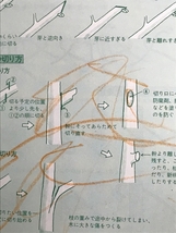 初めての花作り庭仕事―失敗しない育て方のコツ (カラー園芸入門)　_画像3