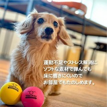 送料無料 「ファンボール」 ペット用玩具犬 猫 おもちゃ ボール FB-EVA 4995723304183_画像6