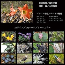 送料無料 「World Plants Report ex Japan」 ワールドプランツレポート植物 多肉植物 熱帯雨林植物 World plants 本 園芸 1920061036000_画像2
