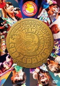 チームしゃちほこ／ZeppZeppHep World Premium Japan Tour 2013 ～見切り発車は蜜の味～ チームしゃちほこ