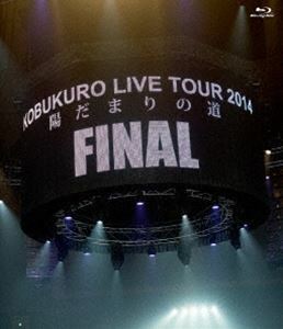[Blu-Ray]コブクロ／KOBUKURO LIVE TOUR 2014”陽だまりの道”FINAL at 京セラドーム大阪 コブクロ
