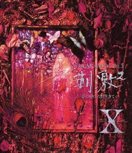 [Blu-Ray]X／VISUAL SHOCK Vol.3 刺激2 -夢の中にだけ生きて- X