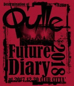 [Blu-Ray]Q’ulle／Determination of Q’ulle「Future Diary 2018」at 2017.12.30 CLUB CITTA’ Q’ulle