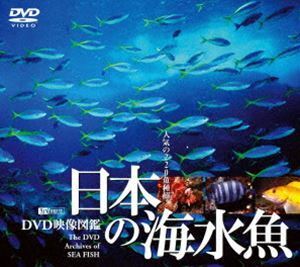 日本の海水魚／DVD映像図鑑