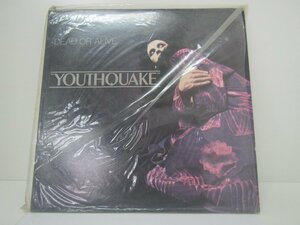 〇 LP Touthquake Dead или Alive Используется