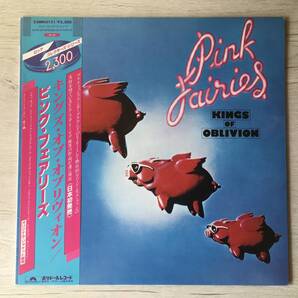 PINK FAIRIES KINGS OF OBLIVION