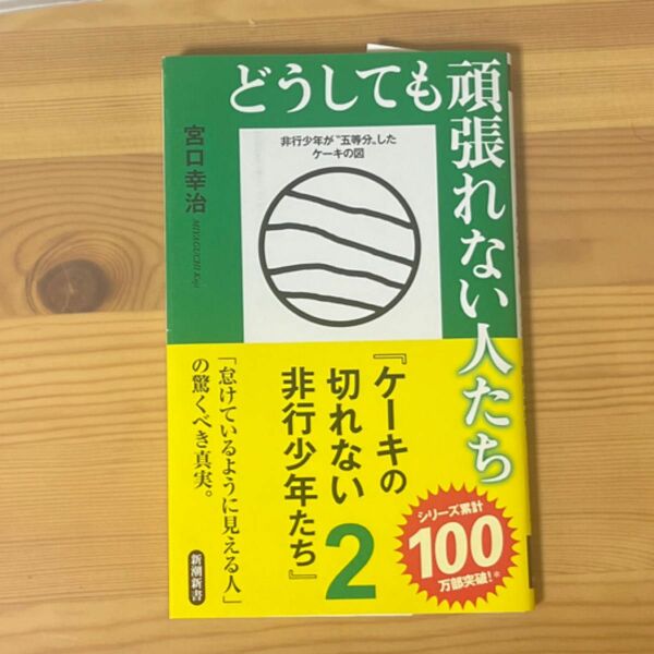 どうしても頑張れない人たち　ケーキの切れない非行少年たち　２ （新潮新書　９０３） 宮口幸治／著