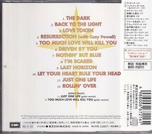 CD BRIAN MAY BACK TO THE LIGHT ブライアン・メイ 国内盤_画像2