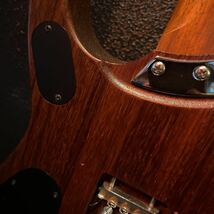 N4 padauk パドゥークWashburn_画像6