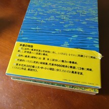 いけばな 日本の美 花鳥風月 3冊セット 定価6,800 講談社 花器 花瓶 水盤 いけばな 池坊 華道 花道_画像7