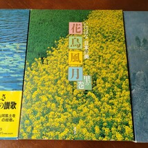 いけばな 日本の美 花鳥風月 3冊セット 定価6,800 講談社 花器 花瓶 水盤 いけばな 池坊 華道 花道_画像3