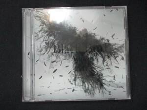 947＃中古CDS Black Bird / Tiny Dancers /思い出は奇麗で/Aimer