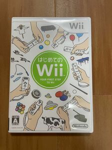 はじめてのWii