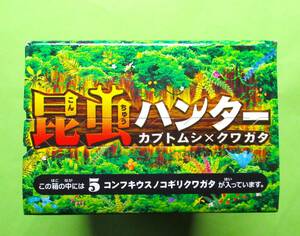 昆虫ハンター2018　5:コンフキウスノコギリクワガタ　未開封品即決