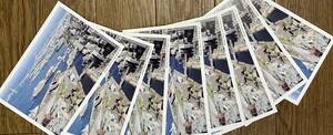 【送料0円】8枚 みなとみらい21 横浜 神奈川県 ポストカード ベイブリッジ 葉書 風景 観光 Yokohama Japan