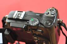 Nikon COOLPIX5400 作動品 手製収納袋付き_画像10