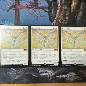 輝かしい天使　日本語　3枚セット