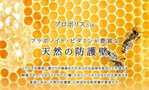 送料無料 新品 プロポリス シードコムス 滋養強壮 6ヶ月 サプリメント 美容 健康食品 ダイエット アンチエイジング ビタミン_画像4