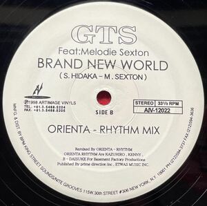 GTS feat Melodie Sexton / Brand New World 12inch盤 その他にもプロモーション盤 レア盤 人気レコード 多数出品。