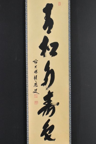 2023年最新】Yahoo!オークション -青松の中古品・新品・未使用品一覧