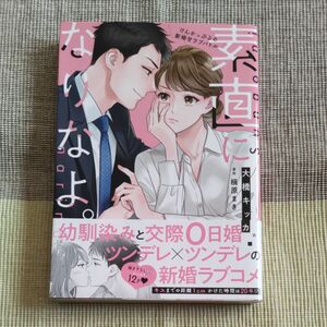 素直になりなよ。けんかっぷるの新婚甘ラブバトル 大橋キッカ 原作 槇原まき オパールCOMICS