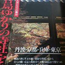 新全国　寺社巡り　全国寺社431徹底ガイド　一目でわかる全国寺社ご利益全集_画像8