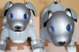 aibo 黒ごま エディション (2021年限定カラー黒ごまアイス) 利用少なめ・希少・美品 / sony アイボ ERS-1000