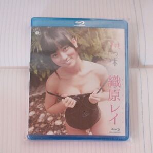 織原レイ 新品未開封