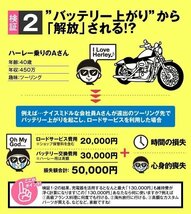 お得★バイクバッテリー＋12V/6V切替充電器セット 6N4-2A互換_画像7