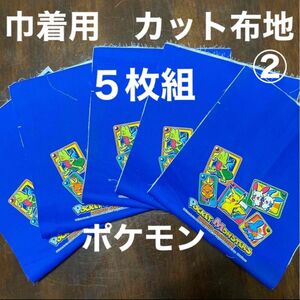 ☆新品　ポケモン　巾着用　カット済み　布地　5枚セット