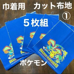 ☆新品　ポケモン　巾着用　カット済み　布地　5枚セット