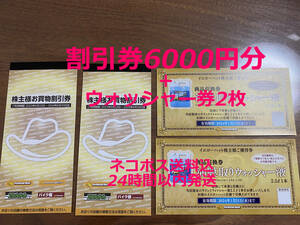 ☆24時間以内発送☆割引券6000円分+ウォッシャー2枚 イエローハット 株主優待 株主優待券 2りんかん バイク館 カー用品 バイク 車 即決