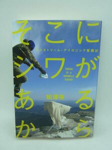 そこにシワがあるから エクストリーム・アイロニング奮闘記 ★ 松澤等 ◆ 高い次元の達成感を得ることを喜びとするスポーツ 究極の家事 ◎