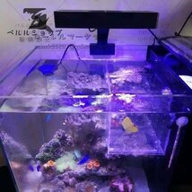 LED 水槽ライト アクアリウムライト 海水魚 サンゴ 海水槽 照明 調光 LED3個 高光度 長寿命 強力 水族館 組立簡単_画像5