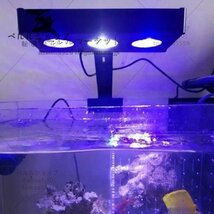 LED 水槽ライト アクアリウムライト 海水魚 サンゴ 海水槽 照明 調光 LED3個 高光度 長寿命 強力 水族館 組立簡単_画像1