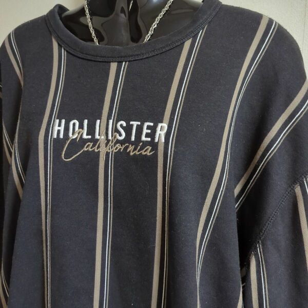 HOLLISTER/ホリスター/長袖トレーナー