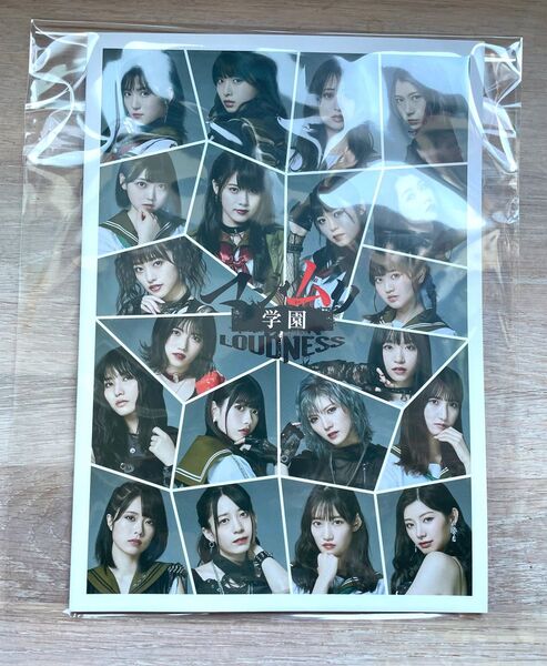 販売終了品!未使用!AKB48 マジムリ学園 LOUDNESS パンフレット