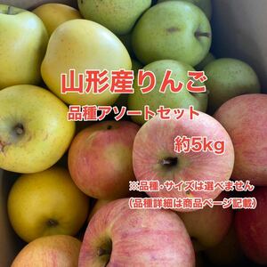 b5山形県産りんご 品種アソートセット 約5kg 〈訳あり家庭用〉