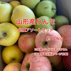 a8山形県産りんご 品種アソートセット 約10kg〈訳あり家庭用〉