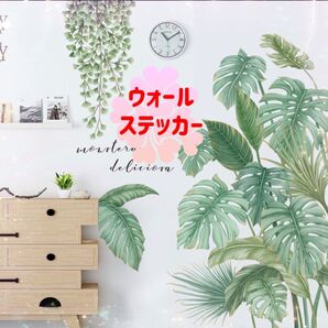 ウォールステッカー シール 北欧 植物 葉 自然 お洒落 模様替え 剥がせる 壁 インテリア 可愛い 大人気 ステッカー 模様替え