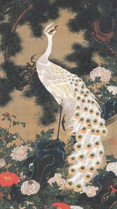 Art hand Auction [Full-size version] Ito Jakuchu, Old Pine Tree and Peacock, Jakuchu 300th Anniversary, Wallpaper Poster, Extra Large 576 x 1031 mm, Peelable Sticker Type 020S1, Painting, Japanese painting, Flowers and Birds, Wildlife