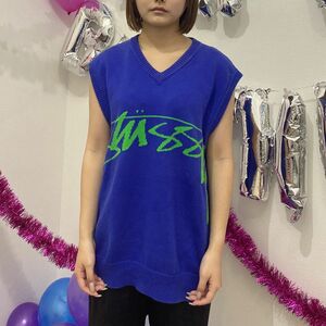 STUSSY｜ステューシー Sweater Vest セーター ベスト Blue